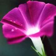 ヒメ日記 2025/08/26 08:02 投稿 田村美紀 五十路マダム 岐阜店