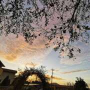 ヒメ日記 2025/08/26 19:00 投稿 田村美紀 五十路マダム 岐阜店