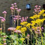 ヒメ日記 2025/08/30 17:32 投稿 田村美紀 五十路マダム 岐阜店