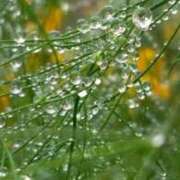 ヒメ日記 2025/09/04 05:30 投稿 田村美紀 五十路マダム 岐阜店