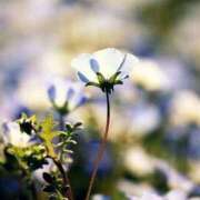 ヒメ日記 2025/09/13 05:30 投稿 田村美紀 五十路マダム 岐阜店