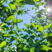 ヒメ日記 2025/09/14 15:56 投稿 田村美紀 五十路マダム 岐阜店