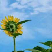 ヒメ日記 2025/09/14 22:04 投稿 田村美紀 五十路マダム 岐阜店