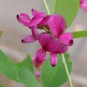 ヒメ日記 2025/09/14 22:14 投稿 田村美紀 五十路マダム 岐阜店