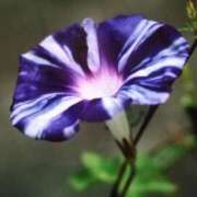 ヒメ日記 2025/09/15 18:04 投稿 田村美紀 五十路マダム 岐阜店