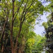 ヒメ日記 2025/09/18 05:30 投稿 田村美紀 五十路マダム 岐阜店