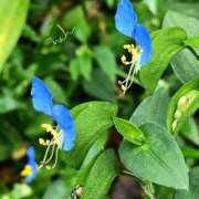 ヒメ日記 2025/09/19 19:32 投稿 田村美紀 五十路マダム 岐阜店