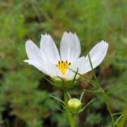 ヒメ日記 2025/09/27 18:44 投稿 田村美紀 五十路マダム 岐阜店