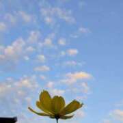 ヒメ日記 2025/10/01 05:30 投稿 田村美紀 五十路マダム 岐阜店