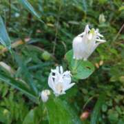 ヒメ日記 2025/10/02 05:30 投稿 田村美紀 五十路マダム 岐阜店