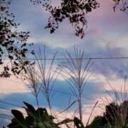 ヒメ日記 2025/10/03 19:16 投稿 田村美紀 五十路マダム 岐阜店