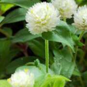 ヒメ日記 2025/10/07 05:30 投稿 田村美紀 五十路マダム 岐阜店