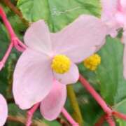 ヒメ日記 2025/10/13 19:02 投稿 田村美紀 五十路マダム 岐阜店