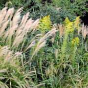 ヒメ日記 2025/10/14 19:02 投稿 田村美紀 五十路マダム 岐阜店