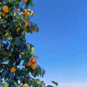 ヒメ日記 2025/10/18 05:30 投稿 田村美紀 五十路マダム 岐阜店