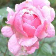 ヒメ日記 2025/10/23 19:48 投稿 田村美紀 五十路マダム 岐阜店