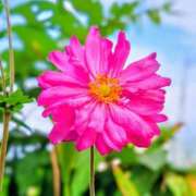 ヒメ日記 2025/10/25 19:16 投稿 田村美紀 五十路マダム 岐阜店