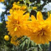 ヒメ日記 2025/10/31 05:30 投稿 田村美紀 五十路マダム 岐阜店