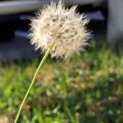 ヒメ日記 2025/11/05 19:22 投稿 田村美紀 五十路マダム 岐阜店