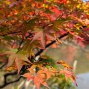 ヒメ日記 2025/11/12 19:32 投稿 田村美紀 五十路マダム 岐阜店