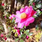 ヒメ日記 2025/11/20 05:30 投稿 田村美紀 五十路マダム 岐阜店