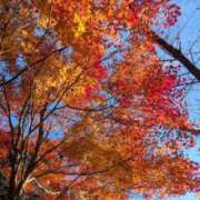 ヒメ日記 2025/11/25 19:32 投稿 田村美紀 五十路マダム 岐阜店