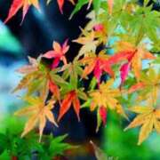 ヒメ日記 2025/11/26 05:30 投稿 田村美紀 五十路マダム 岐阜店