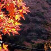 ヒメ日記 2025/11/26 19:32 投稿 田村美紀 五十路マダム 岐阜店