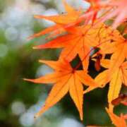 ヒメ日記 2025/11/27 19:02 投稿 田村美紀 五十路マダム 岐阜店