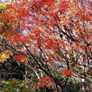 ヒメ日記 2025/11/28 18:36 投稿 田村美紀 五十路マダム 岐阜店