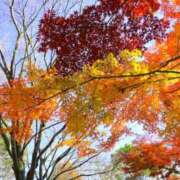 ヒメ日記 2025/12/02 05:30 投稿 田村美紀 五十路マダム 岐阜店