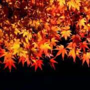 ヒメ日記 2025/12/04 10:52 投稿 田村美紀 五十路マダム 岐阜店