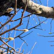 ヒメ日記 2025/12/05 18:48 投稿 田村美紀 五十路マダム 岐阜店