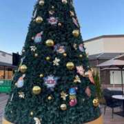 ヒメ日記 2025/12/06 18:28 投稿 田村美紀 五十路マダム 岐阜店