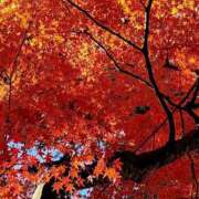 田村美紀 息 五十路マダム 岐阜店