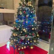 ヒメ日記 2025/12/13 23:40 投稿 田村美紀 五十路マダム 岐阜店