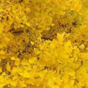 ヒメ日記 2025/12/14 18:02 投稿 田村美紀 五十路マダム 岐阜店