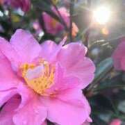 ヒメ日記 2025/12/19 19:48 投稿 田村美紀 五十路マダム 岐阜店