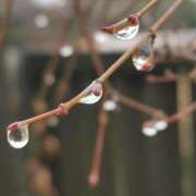 ヒメ日記 2025/12/25 20:02 投稿 田村美紀 五十路マダム 岐阜店