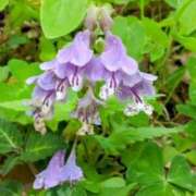 ヒメ日記 2025/12/27 05:30 投稿 田村美紀 五十路マダム 岐阜店