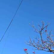 ヒメ日記 2025/12/30 19:02 投稿 田村美紀 五十路マダム 岐阜店