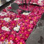 ヒメ日記 2026/01/02 22:18 投稿 田村美紀 五十路マダム 岐阜店