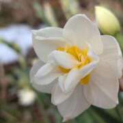 ヒメ日記 2026/01/03 19:02 投稿 田村美紀 五十路マダム 岐阜店