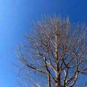 ヒメ日記 2026/01/03 19:08 投稿 田村美紀 五十路マダム 岐阜店