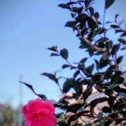 ヒメ日記 2026/01/07 16:12 投稿 田村美紀 五十路マダム 岐阜店