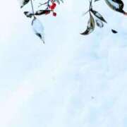 ヒメ日記 2026/01/12 07:32 投稿 田村美紀 五十路マダム 岐阜店