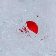 ヒメ日記 2026/01/24 06:30 投稿 田村美紀 五十路マダム 岐阜店