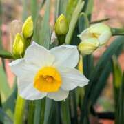 ヒメ日記 2026/01/26 19:32 投稿 田村美紀 五十路マダム 岐阜店