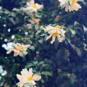 ヒメ日記 2026/01/31 19:02 投稿 田村美紀 五十路マダム 岐阜店