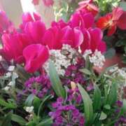 ヒメ日記 2026/02/05 19:02 投稿 田村美紀 五十路マダム 岐阜店